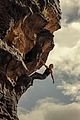 apex-trailer