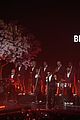 bad-bunny-japan