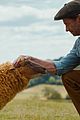 sheep-detectives