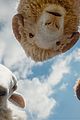 sheep-detectives