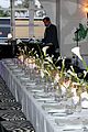 crown-beauty-party